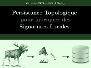 Persistance Topologique pour fabriquer des Signatures Locales