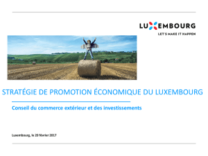 stratégie de promotion économique du luxembourg