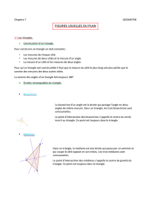 FIGURES USUELLES DU PLAN