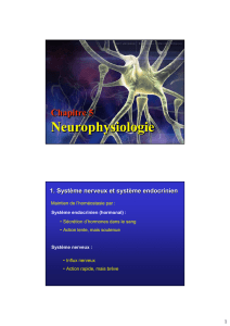 Neurophysiologie Neurophysiologie