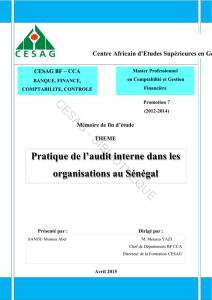 Pratique de l`audit interne dans les organisations au Sénégal