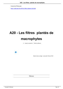 A20 - Les filtres plantés de macrophytes