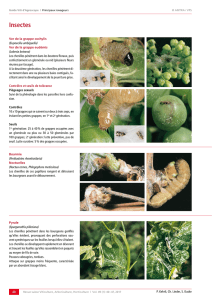 Insectes - Revue suisse de viticulture arboriculture horticulture