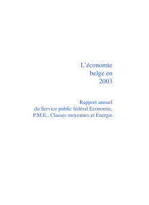 L`&eacute;conomie belge en 2003