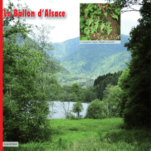 Grand-Ballon - Editions Saint Brice