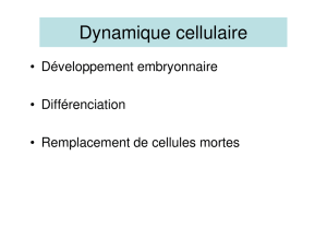 Dynamique cellulaire