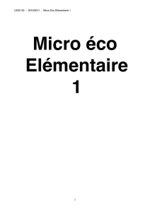 Micro Eco Elem 1 (nico)(mac)