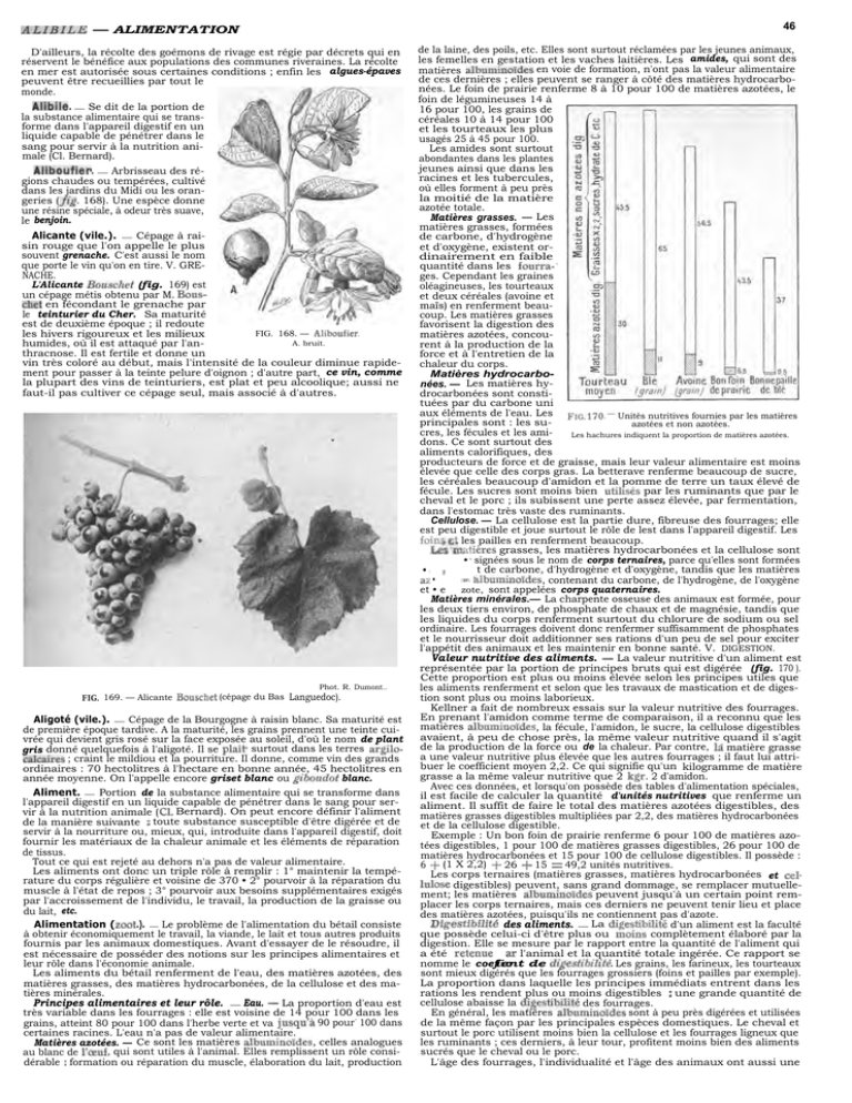 46 Alibile — Alimentation Principes Alimentaires Et Leur Rôle