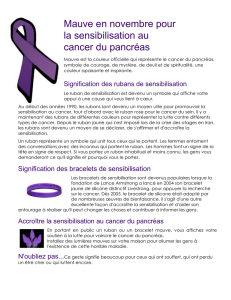 Mauve est la couleur officielle qui représente le cancer du pancréas.