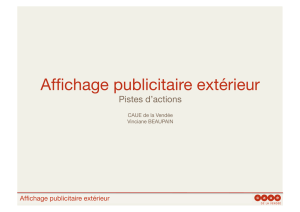 Affichage publicitaire extérieur, pistes d`actions