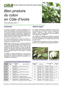 Bien produire du coton en Côte d`Ivoire