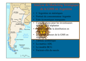 Analyse du Marketing Stratégique de la GMS en Argentine