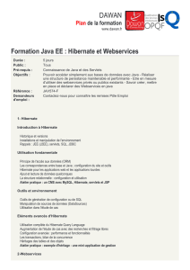 Formation Java EE : Hibernate et Webservices à Nantes, à