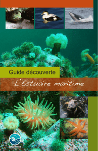 Guide découverte, Section divisions du Saint-Laurent - Explos