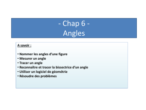 Nommer les angles