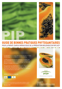 Guide technique 27: Pratiques phyto-Papaye bio