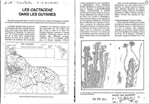 Les Cactaceae dans les Guyanes