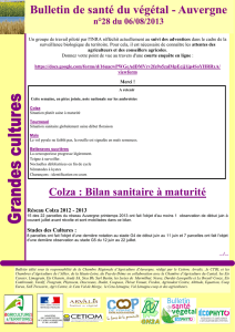 Bulletin de santé du végétal - Auvergne