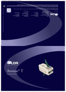 Avenue T Brochure