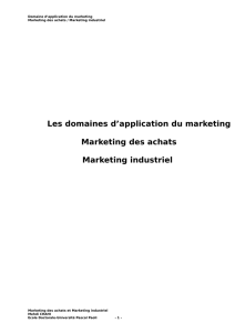Les domaines d`application du marketing Marketing