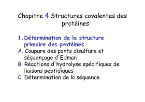 Ch.4 Strcuture I protéines