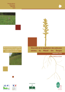 Diversité de la végétation des pelouses sèches du Massif des Bauges