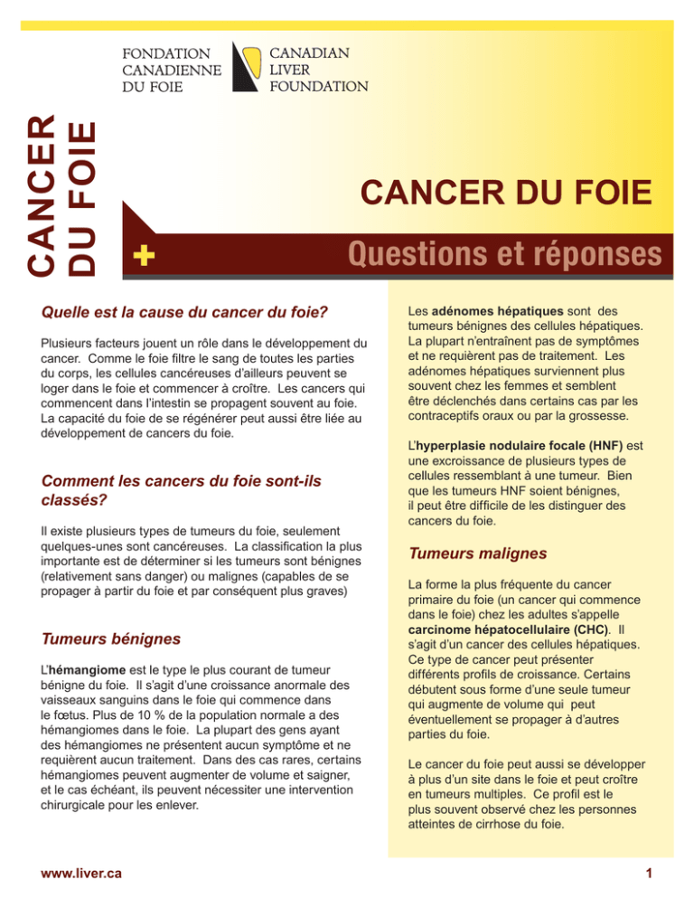 Cancer Du Foie 6606