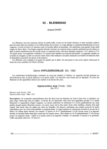 53 . blenniidae - Horizon documentation-IRD