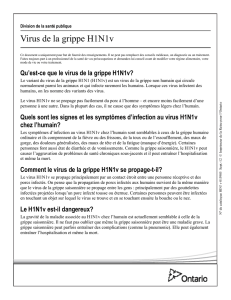 Virus de la grippe H1N1v - Ministère de la Santé et des Soins de