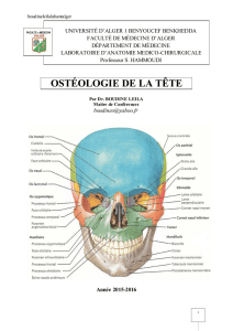 ostéologie de la tête - ceil@univ