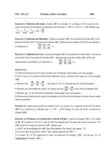 GEC. TD 1,2,3 Triangles, points cocycliques 2008 Exe