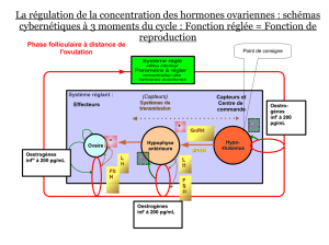 La régulation de la concentration des hormones ovariennes