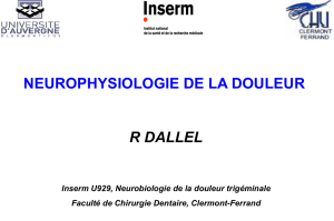 NEUROPHYSIOLOGIE DE LA DOULEUR R DALLEL