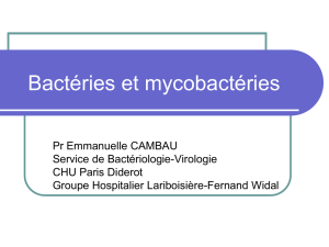 Introduction à la bactériologie : bactéries et mycobactéries