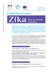 Infection à virus Zika chez la femme enceinte