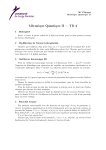 Mécanique Quantique II TD 2