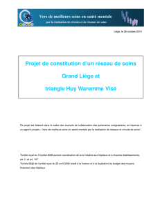 Projet de constitution d`un réseau de soins Grand Liège et triangle