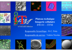Plateau technique Imagerie cellulaire IFR141 – ITFM