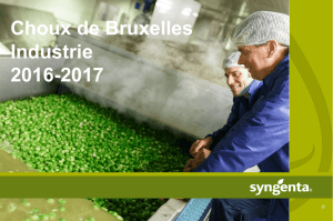 Brochure choux de Bruxelles industrie 2017