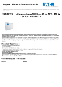 NUG34173 Alimentation AES 26 ou 48 ou 56V - 130 W