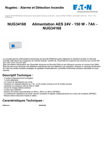 NUG34168 Alimentation AES 24V - 150 W - 7Ah