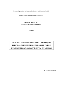 prise en charge de douleurs chroniques perineales
