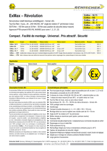 Servomoteur rotatif électrique antidéflagrant format «M