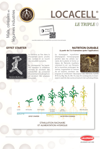 locacell - Lallemand Plant Care