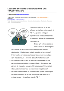 LES LIENS ENTRE PIB ET ENERGIE DANS UNE TRAJECTOIRE +2