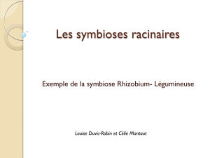 Les symbioses racinaires - UJF Valence