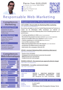Responsable Web-Marketing - Pierre