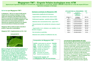 Megagreen-TMT – Engrais foliaire écologique avec ATM