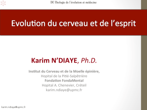 Evolution du cerveau et de l`esprit - Karim N`Diaye