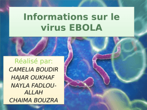 Information sur EBOLA